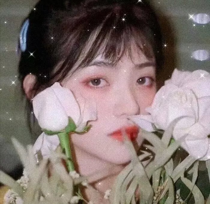 丢羊